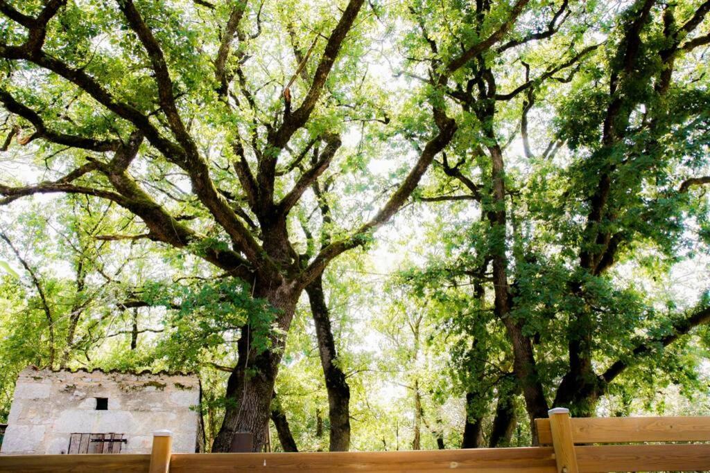 La Taniere Des Druides Villa Luzech Luaran gambar